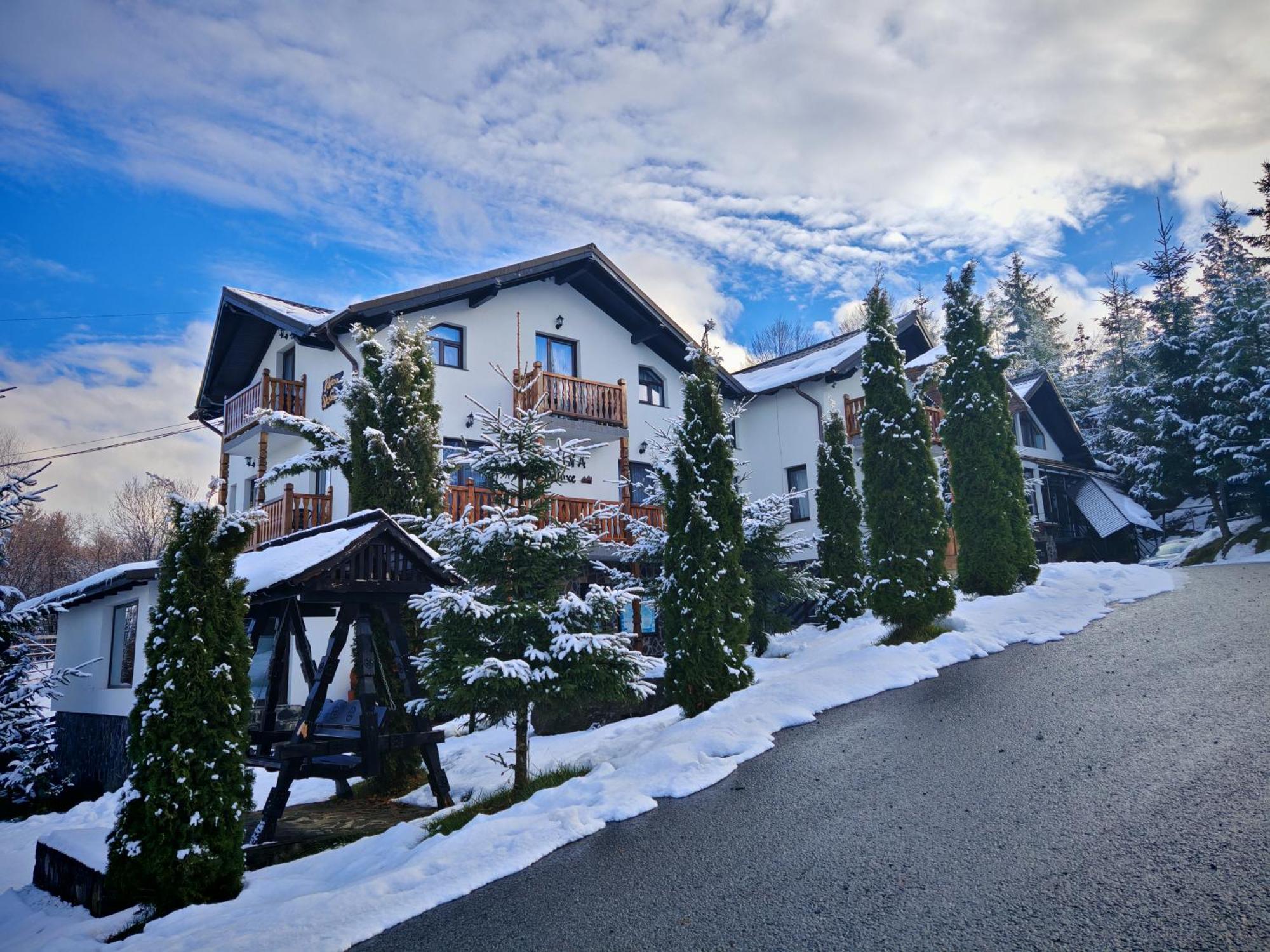 Alpina Panoramic Hotel Moisei Exterior photo